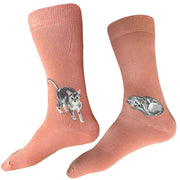 Meow Socks - Terracotta