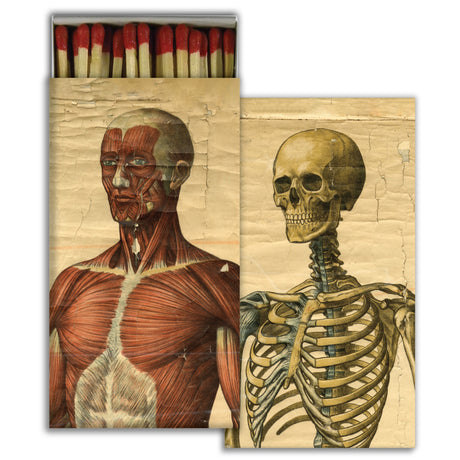 Muscle Man & Skeleton Matches