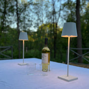 Poldina PRO PORTABLE Lamp | Asst Colors