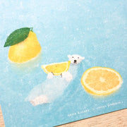 Akira Kusaka The Long-Awaited Lemonade Letter Set