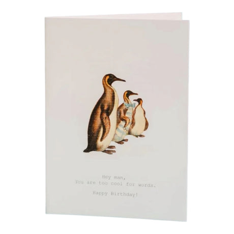 Too Cool | Card