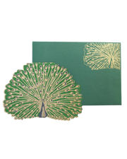 Peacock Greeting Card