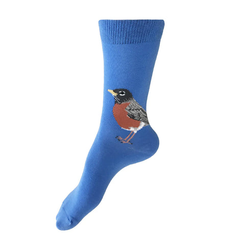 Robin Socks | Spring Blue