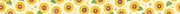 Sunflowers MT X Maruichikyu| Washi Tape