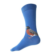 Robin Socks | Spring Blue
