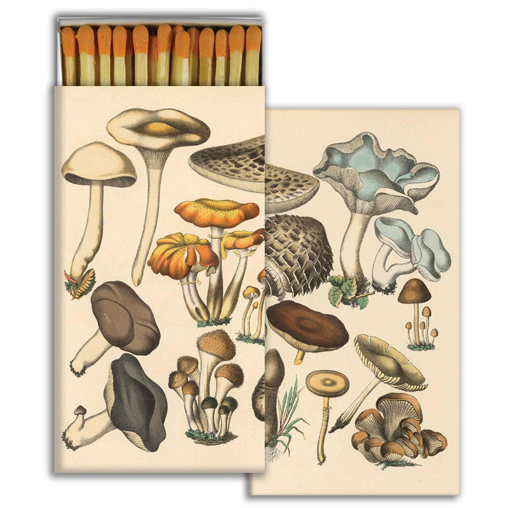 More Mushrooms Matches