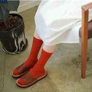 Nishiguchi Kutsushita Silk Cotton Ribbed Socks | Boston Brick (2024 Limited Color)