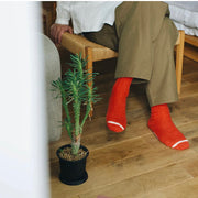 Nishiguchi Kutsushita Wool Ribbed Socks | Shrine Red (2025 Limited Edition Color)
