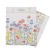 Emily Berningham Primulas Letter Set