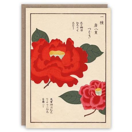 Camellias Card