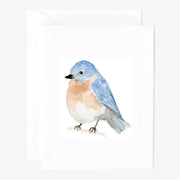 Birds Assorted Notecards by Emily Lex | 8 Notecards