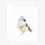 Birds Assorted Notecards by Emily Lex | 8 Notecards
