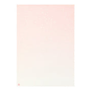Midori Japanese Letter Paper Flower Petals