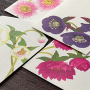 Christmas Rose (Hellebore) Washi Message Pad