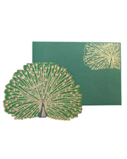 Peacock Greeting Card