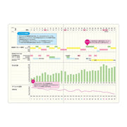 Laconic Gantt Chart Notebook