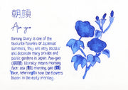 PILOT Iroshizuku Ink Cartridges| Asst Colors