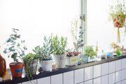KITTA Portable Washi | Basic | Frame 2