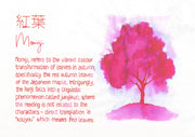 PILOT Iroshizuku Ink Cartridges| Asst Colors