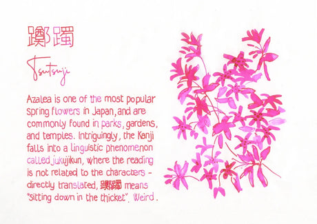 PILOT Iroshizuku tsutsuji | 50 ml Bottled ink