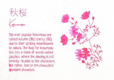 PILOT Iroshizuku kosumosu | 50 ml Bottled ink