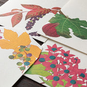 Autumn Fruits Washi Envelopes