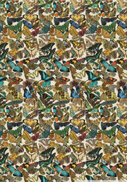 Butterflies Print/Wrap