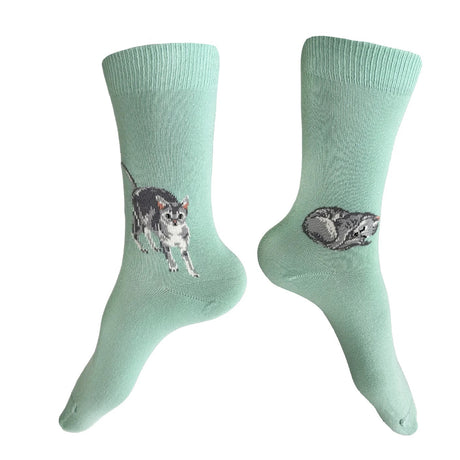 Meow Socks - Aqua