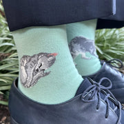 Meow Socks - Aqua