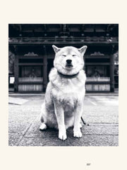 Monocle Book of Japan