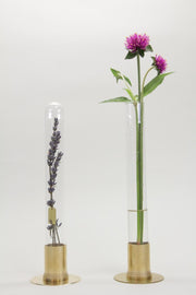 Herbarium Brass & Glass Dome Flower Vase - Solid