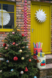 Small Traditional White Star