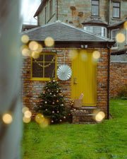 Small Curved White Star