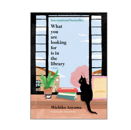 What You Are Looking For Is in the Library by Michiko Aoyama