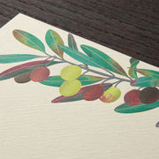 Olive Leaf Letter Pad