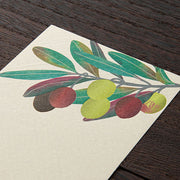 Message Letter Pad Olive Leaf