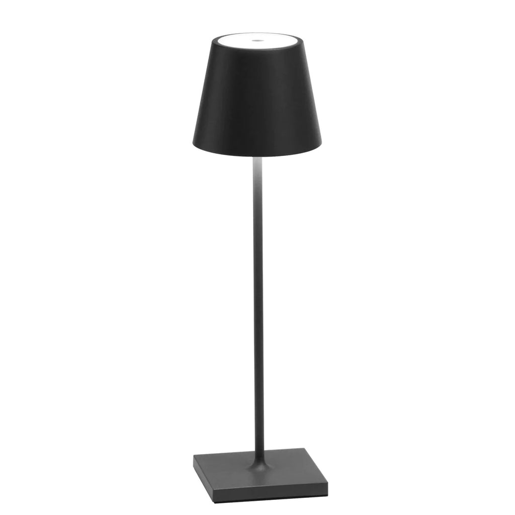 Poldina PRO PORTABLE Lamp | Asst Colors