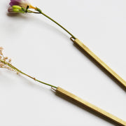 Wall Brass Stick Vase | Small