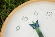 Perch Clock - Ageha - Butterfly | Blue
