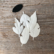 HA KO Paper Leaf Incense - Set of 5